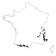 Arenaria ciliata subsp. bernensis Favarger - carte des observations