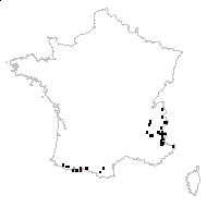Arenaria ciliata proles polycarpoides Rouy & Foucaud - carte des observations
