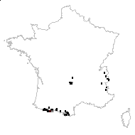 Stellaria alpina (L.) Gray - carte des observations