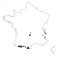 Cerastium alpinum L. - carte des observations