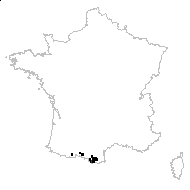 Cerastium alpinum var. nevadense Pau - carte des observations
