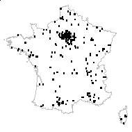 Cerastium arvense subsp. strictum var. molle (Vill.) B.Bock - carte des observations