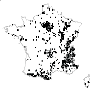 Laserpitium latifolium L. - carte des observations