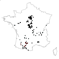 Cucubalus pyrenaicus Gand. - carte des observations