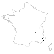 Dianthus ferrugineus sensu auct. - carte des observations