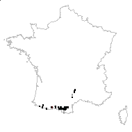 Thapsia nestleri (Soy.-Will.) Wojew., Banasiak, Reduron & Spalik - carte des observations