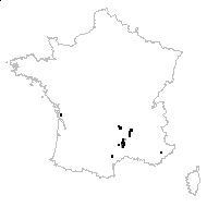 Dianthus graniticus Jord. - carte des observations