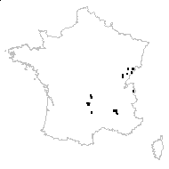 Dianthus gratianopolitanus Vill. - carte des observations