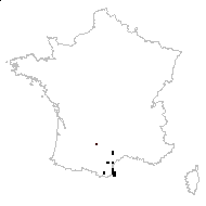 Dianthus pungens subsp. ruscinonensis (Boiss.) M.Bernal, M.Laínz & Muñoz Garm. - carte des observations