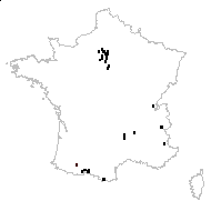 Coronaria tomentosa A.Braun - carte des observations