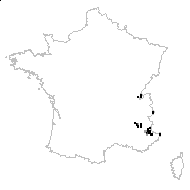 Coristospermum ferulaceum (All.) Reduron, Charpin & Pimenov - carte des observations