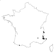 Minuartia villarii (Balb.) Wilczek & Chenevard - carte des observations