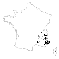 Imperatia saxifraga (L.) Degen - carte des observations