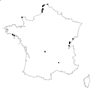 Sagina nodosa (L.) Fenzl - carte des observations