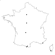 Silene macrocarpa (Boiss.) Gren. - carte des observations