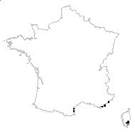 Silene villosa Moench - carte des observations