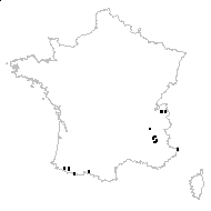 Heliosperma pusillum (Waldst. & Kit.) Rchb. subsp. pusillum - carte des observations