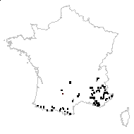 Lychnis saxifraga (L.) Scop. - carte des observations
