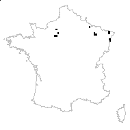 Oenanthe fluviatilis (Bab.) Coleman - carte des observations