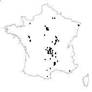 Spergula morisonii Boreau - carte des observations