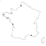 Spergularia marginata Boreau - carte des observations
