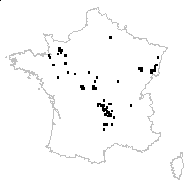 Oenanthe peucedanifolia Pollich - carte des observations