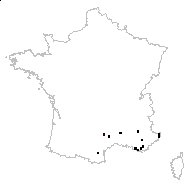 Orlaya intermedia Boiss. - carte des observations