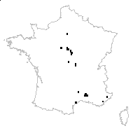 Chenopodium botrydium St.-Lag. - carte des observations