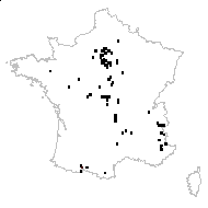 Chenopodium angulosum Lam. - carte des observations