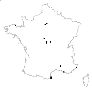 Chenopodiastrum murale (L.) S.Fuentes, Uotila & Borsch - carte des observations