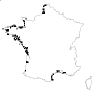 Halimione portulacoides (L.) Aellen - carte des observations
