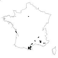 Cistus laurifolius L. - carte des observations