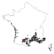 Cistus cupanianus C.Presl - carte des observations