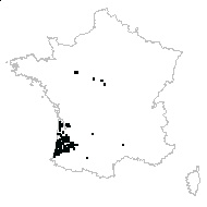 Cistus lasianthus subsp. alyssoides (Lam.) Demoly - carte des observations