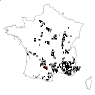 Helianthemum velutinum Jord. - carte des observations