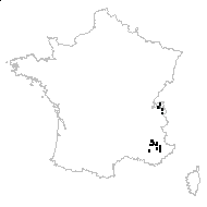 Peucedanum involucratum W.D.J.Koch - carte des observations