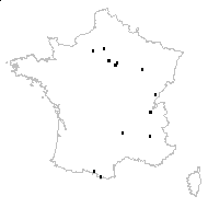 Dichoropetalum carvifolia (Vill.) Pimenov & Kljuykov - carte des observations