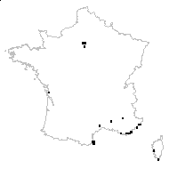 Convolvuloides leucosperma Moench - carte des observations