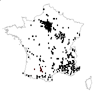 Cornus sanguinea L. subsp. sanguinea - carte des observations