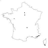 Crassula vaillantii (Willd.) Roth - carte des observations