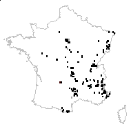 Oreoselinum nigrum Delarbre - carte des observations