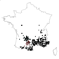 Sedum sediforme (Jacq.) Pau - carte des observations