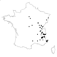 Sedum sexangulare L. - carte des observations