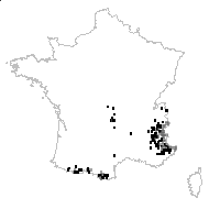 Sempervivum arachnoideum L. - carte des observations