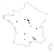 Cuscuta campestris Yunck. - carte des observations