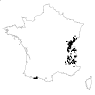 Scabiosa lucida Vill. subsp. lucida - carte des observations