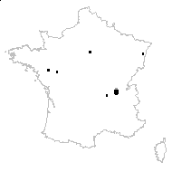 Elatine alsinastrum L. - carte des observations