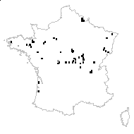 Elatine hexandra (Lapierre) DC. - carte des observations