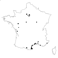 Elaeagnus caspica (Sosn.) Grossh. - carte des observations