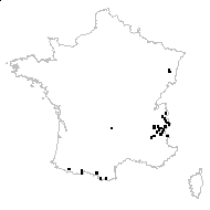 Empetrum nigrum subsp. hermaphroditum (Hagerup) Böcher - carte des observations